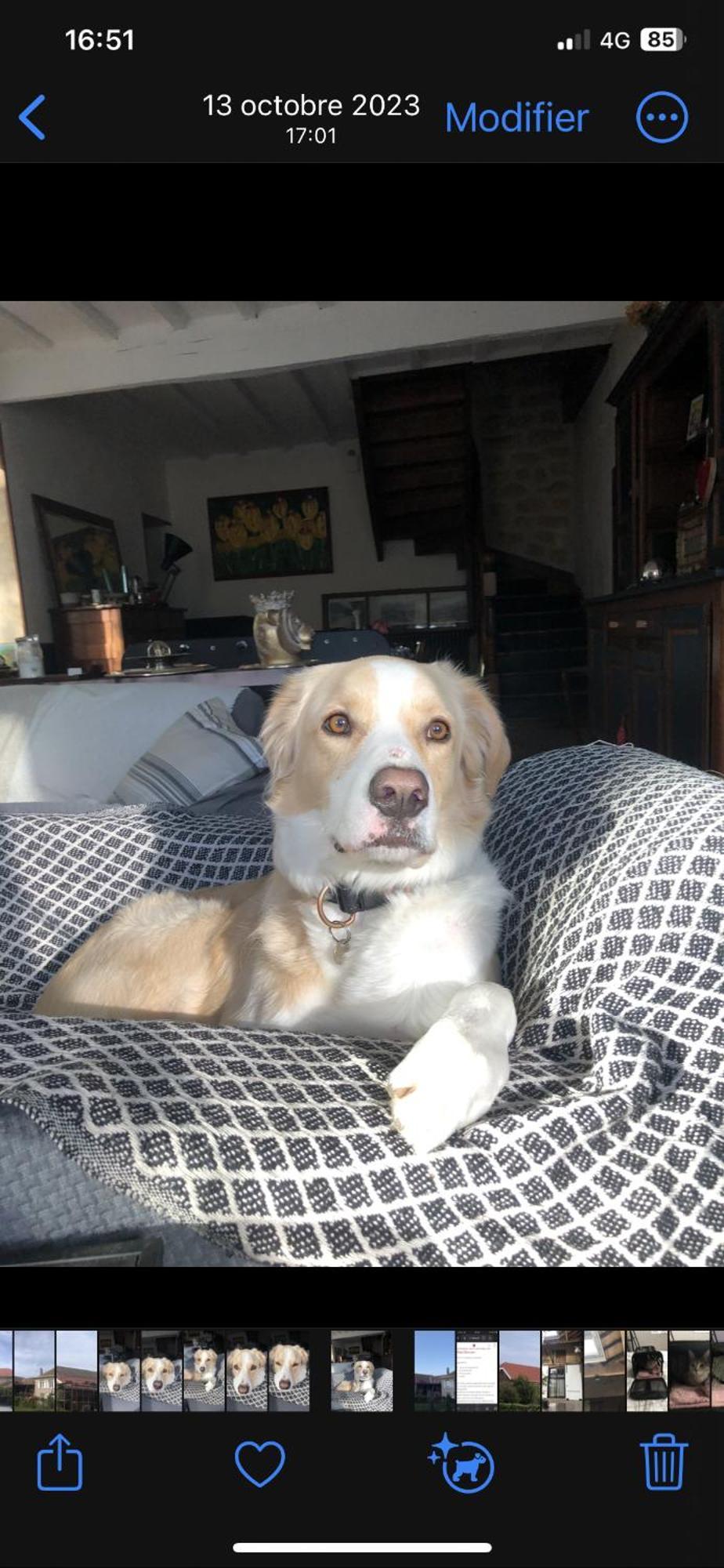 Cookie Home Dolomieux Eksteriør bilde