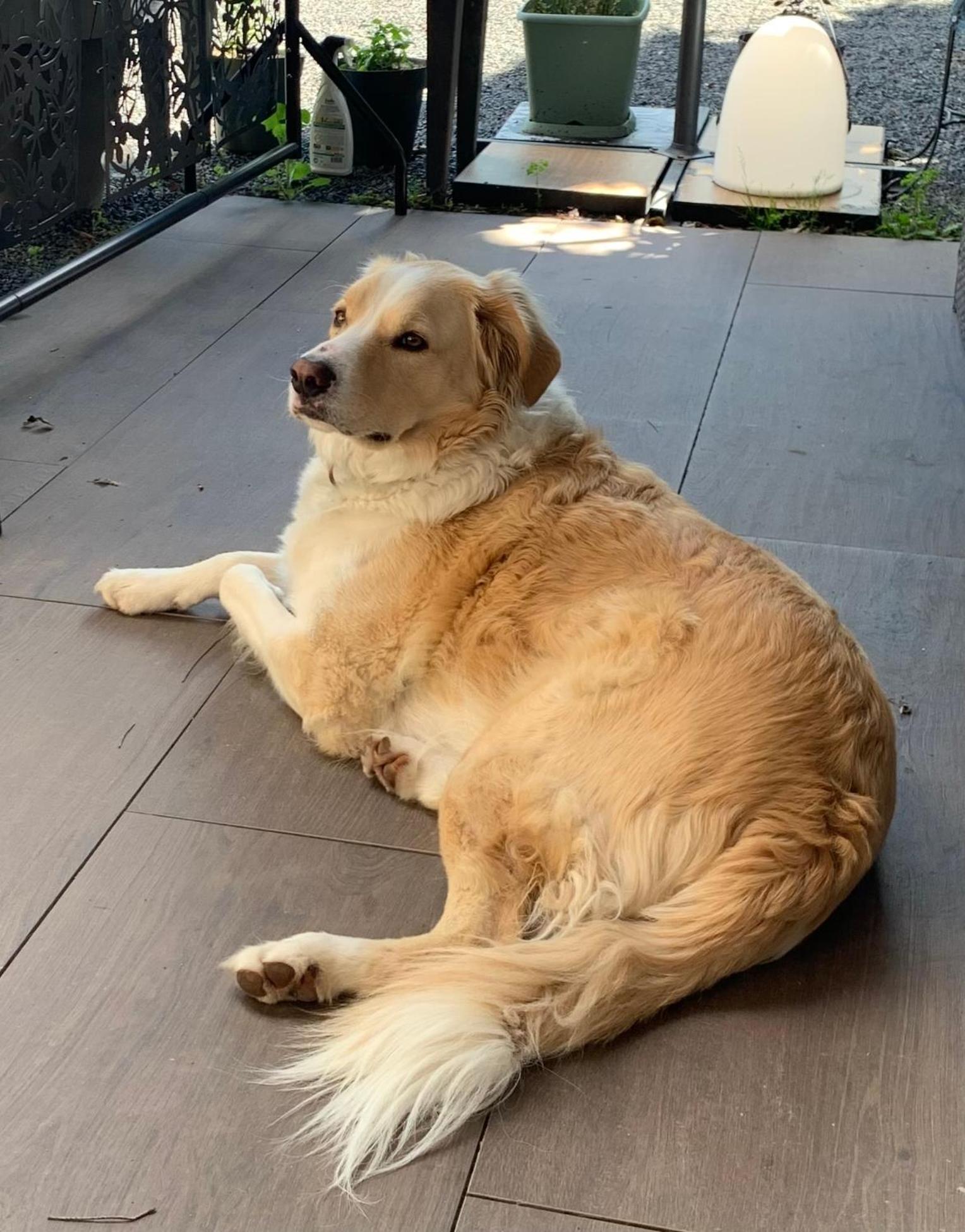 Cookie Home Dolomieux Eksteriør bilde